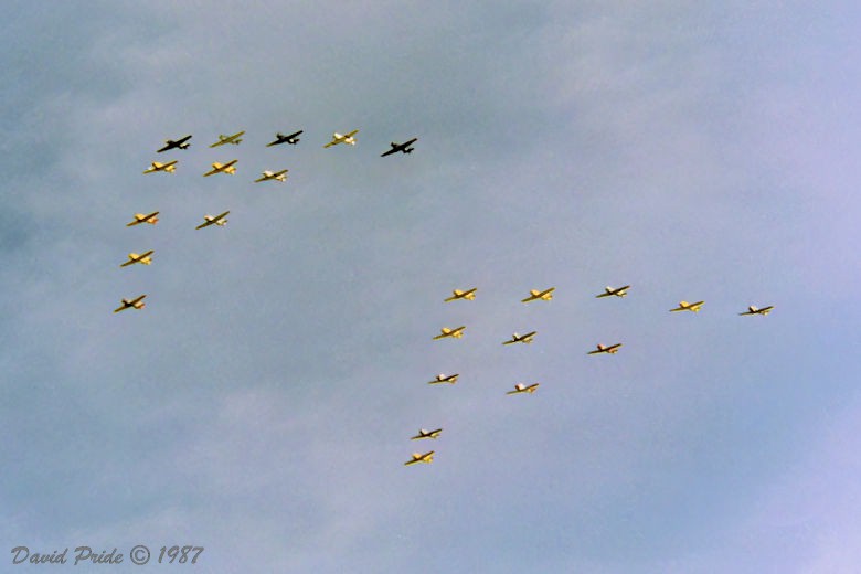 AT-6/SNJ Formation