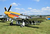 North American P-51D Mustang "Never Miss"