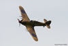 Hawker Hurricane Mk IV