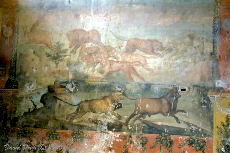 Wild Animal Mural