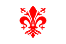City flag of Florence