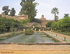 View of the Alcazar Gardens