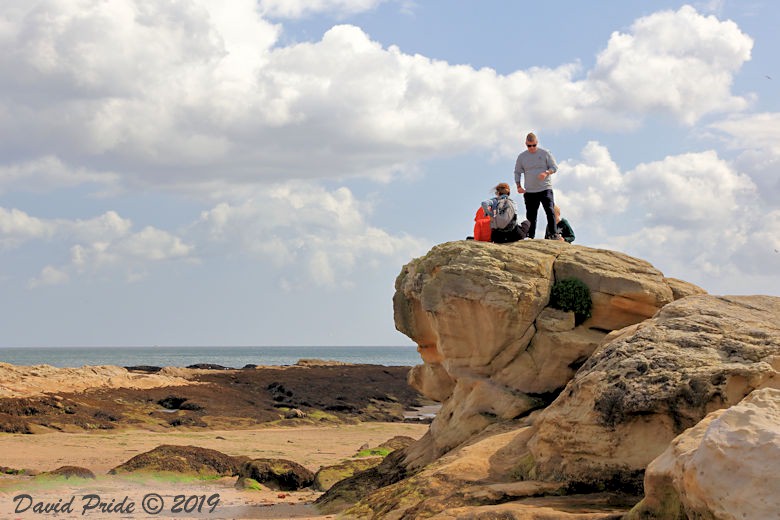 St Andrews West Sands Beach