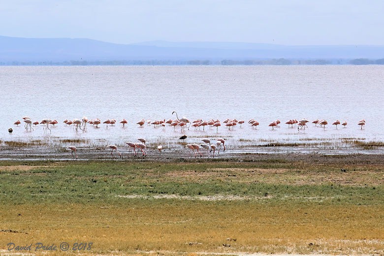 Lake Manyara