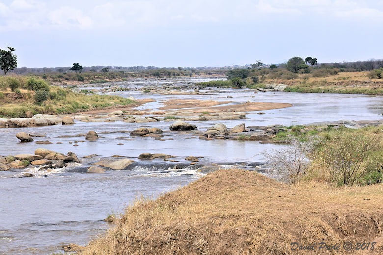 Mara River