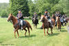 Cavalry Demonstration