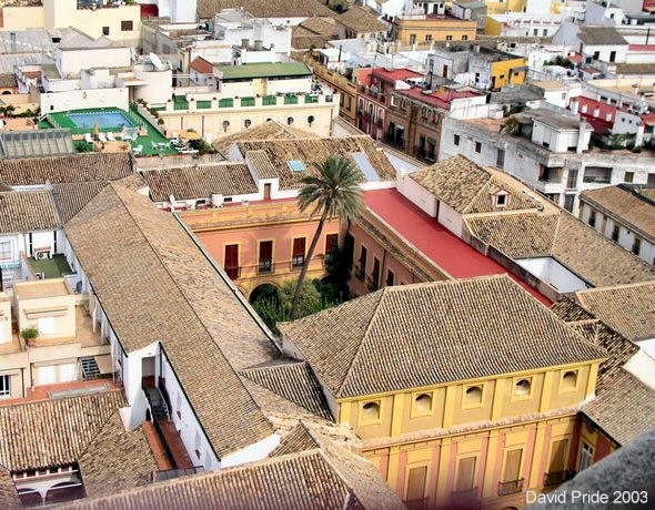 Courtyard House