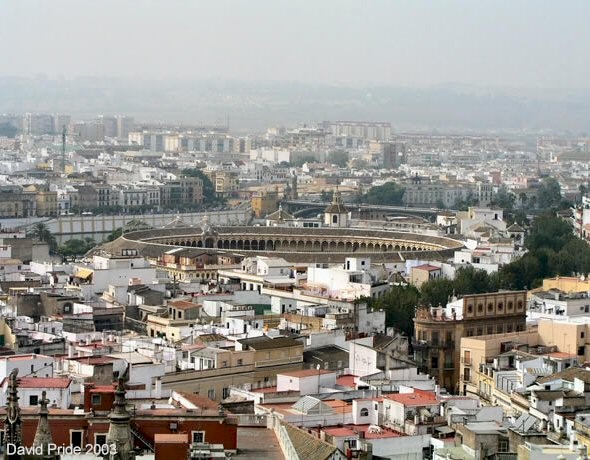 Bullfighting Ring of the Real Maestranza