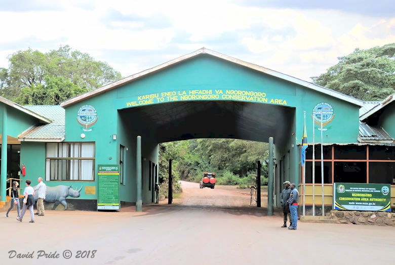 Ngorongoro Conservation Area