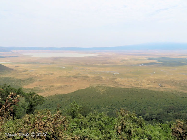 Ngorongoro Crater