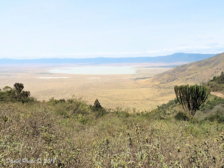 Ngorongoro Crater