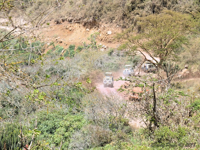 Ngorongoro Crater